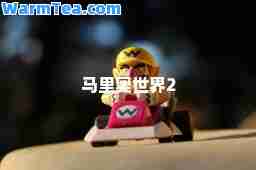 马里奥世界2