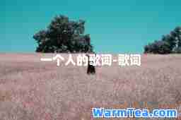 一个人的歌词-歌词