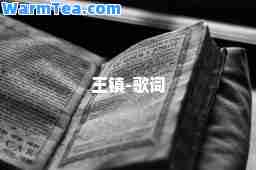 王镇-歌词