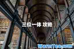 三位一体 攻略