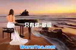 只有你-歌词