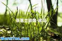 张蕙兰瑜伽-歌词