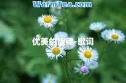 优美的旋律-歌词