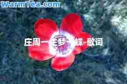 庄周一生梦一蝶-歌词