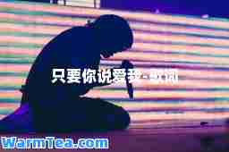 只要你说爱我-歌词