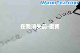 在我消失前-歌词