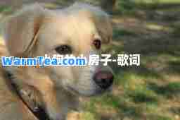 小狗的小房子-歌词