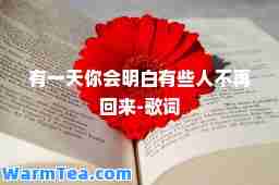 有你会明白有些人不再回来-歌词