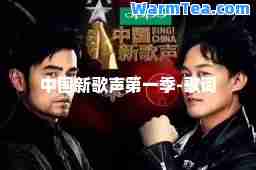 中国新歌声季-歌词