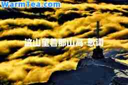 这山望着那山高-歌词