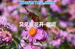 又见桃花开-歌词