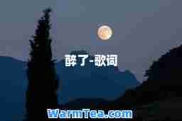 醉了-歌词