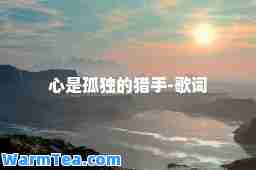 心是孤独的猎手-歌词