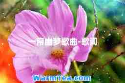 一帘幽梦歌曲-歌词