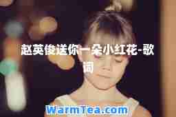 赵英俊送你一朵小红花-歌词