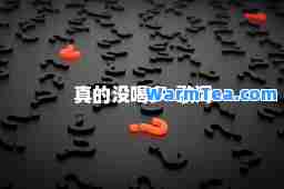 真的没喝多-歌词