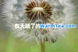 在天晴了的时候-歌词