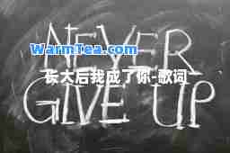 长大后我成了你-歌词