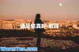 遇见你真好-歌词