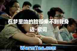 在梦里吻的脸却来不到我身边-歌词