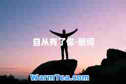 自从有了你-歌词