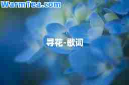 寻花-歌词