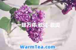 一眼万年 歌词-歌词