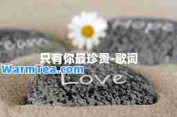 只有你最珍贵-歌词