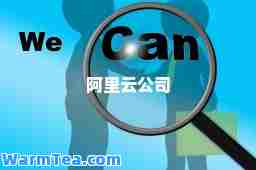 阿里云公司