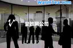 安致网公司