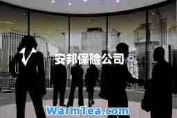 安邦保险公司