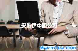 安唯伊中国公司
