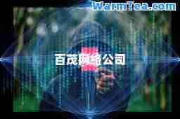 百茂网络公司