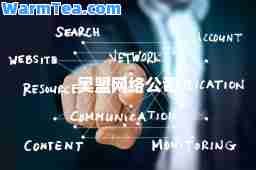 奥盟网络公司