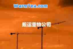 搬运重物公司