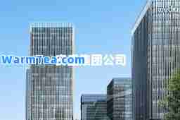 安盛集团公司