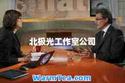 北极光工作室公司