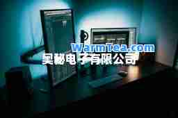 奥秘电子有限公司