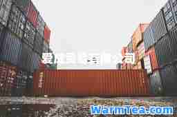 爱成贸易有限公司