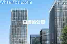 白塔岭公司
