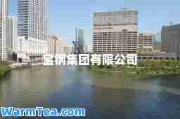 宝钢集团有限公司