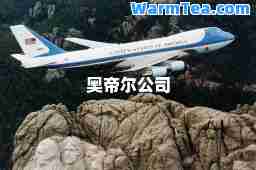 奥帝尔公司