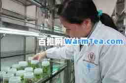 百推网络公司