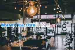 奥特乐公司