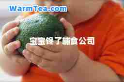 宝宝馋了辅食公司