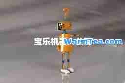 宝乐机器人公司