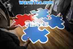 百团网公司