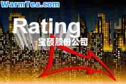 宝硕股份公司