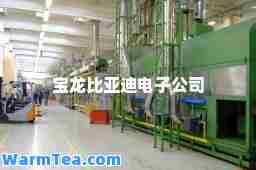 宝龙比亚迪电子公司