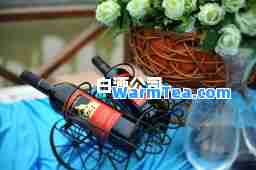白酒公司
